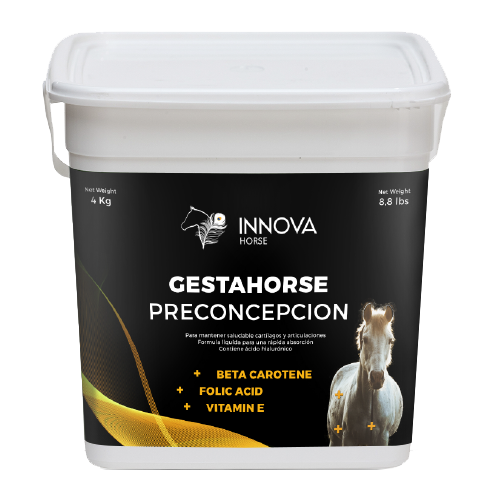 innova-horse-cow-pharma-_0002_Gestahorse-Preconcepcion----Innova-Horse